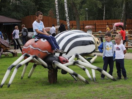 Gigantyczne owady i grzyby na Góreczniku