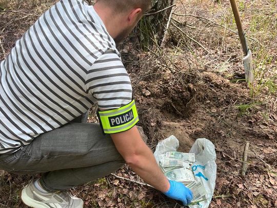 GOTÓWKA zakopana pod brzozą. Do lasu wkracza policja