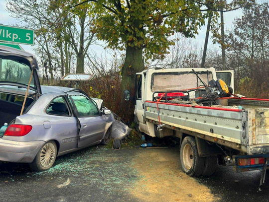 Groźny poranek. Wymuszenie pierwszeństwa i finał na drzewie