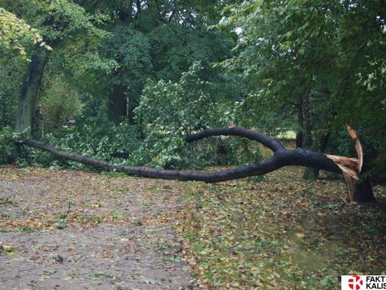 „Grzegorz” potraktował nas łagodnie