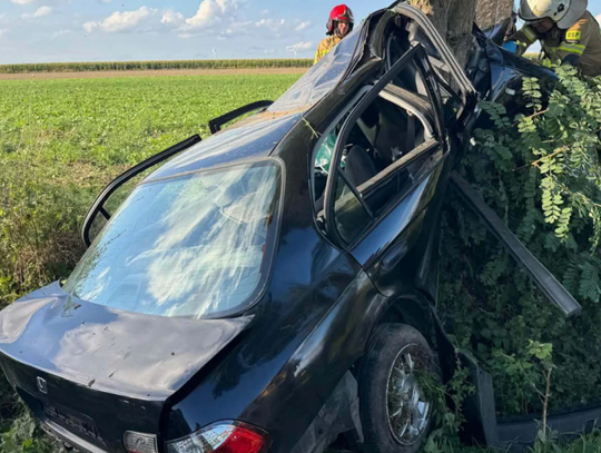 Honda wypadła z jezdni. Samochód wbił się w drzewo