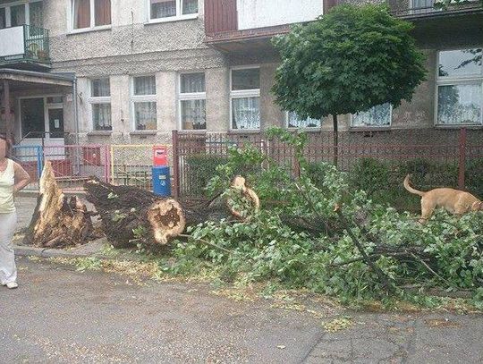 IMGW: Nad region nadciąga silny wiatr