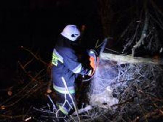 IMGW ostrzega: Wiatr osiągnie 100 km/h