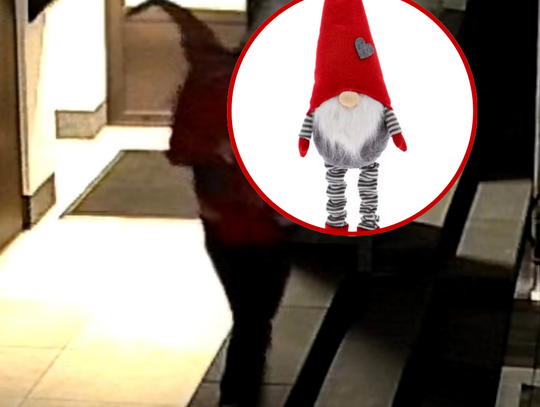 Jak tak można?! Ukradł krasnala - prezent od wnucząt Jak tak można?! Ukradł krasnala - prezent od wnucząt