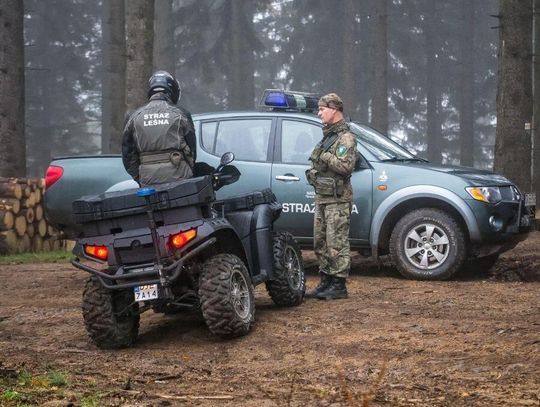 Grzybiarze, uwaga! Od dzisiaj w lasach DUŻA AKCJA I KONTROLE
