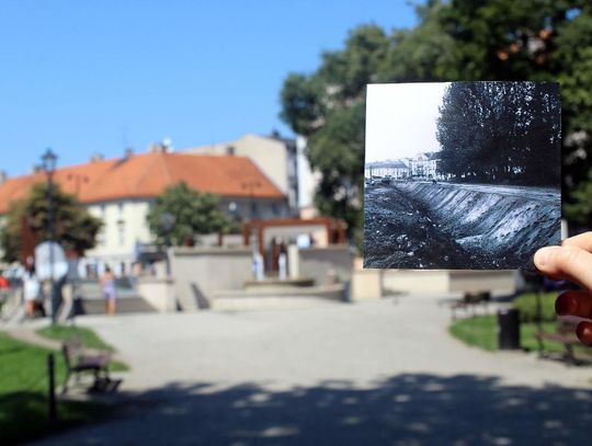 Już jutro kolaże na Plantach