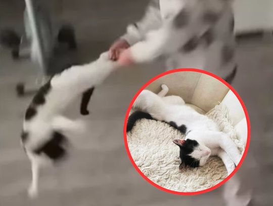 Kacperek ma nowy DOM. "Trwa walka o sprawiedliwość"