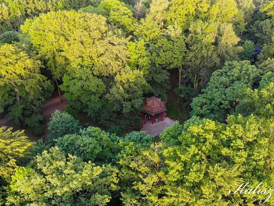 Kalisz. Poznaj i odkryj na nowo - Szlakiem Kaliskich Parków ZDJĘCIA