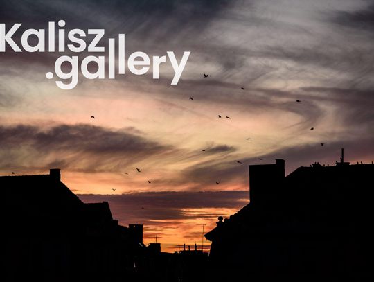 Kalisz.gallery – w sieci powstała multimedialna galeria dla twórców sztuk wizualnych