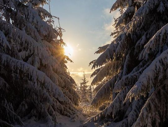 Kiedy KONIEC ZIMY? Na horyzoncie poważna zmiana pogody