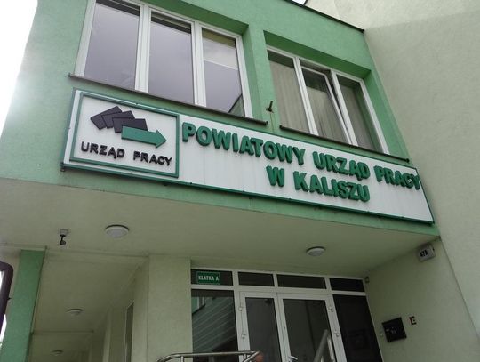 Kilkadziesiąt nowych ofert pracy z PUP