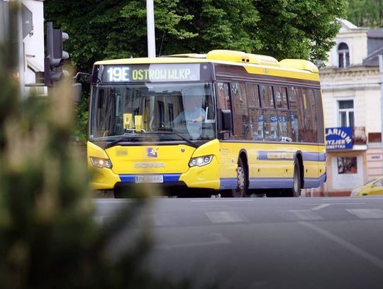 KLA zbada potrzeby pasażerów. Będzie nowy rozkład jazdy i sieć połączeń