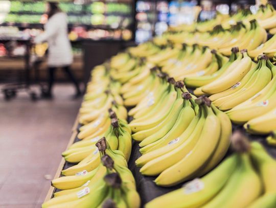 Kokaina o wartości 5 mln zł w skrzynce z bananami w supermarkecie