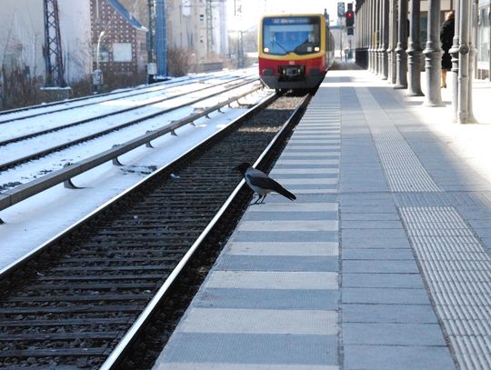 Kolej Plus. Pobudują nowe połączenia kolejowe w regionie