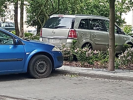 Dewastacja na Plantach. Ktoś wepchnął auto w rabaty