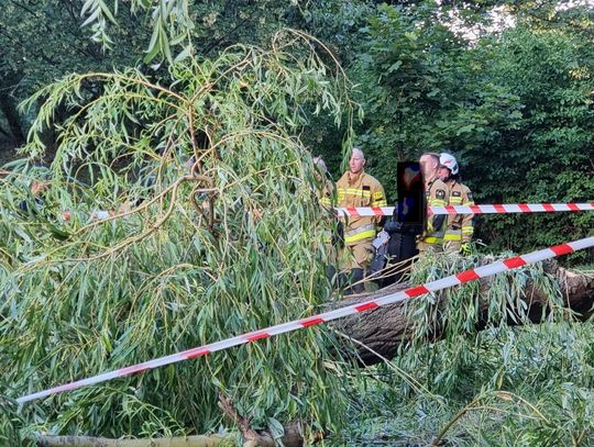 Konar runął na 3 nastolatki. Sprawą zajmuje się prokuratura.