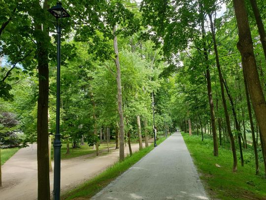 Kończą remont Parku Miejskiego. Są odnowione alejki i nowe lampy WIDEO