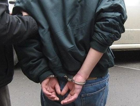 Kopnął policjanta w twarz