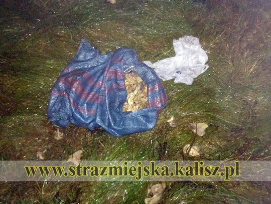 Kości zostały podrzucone