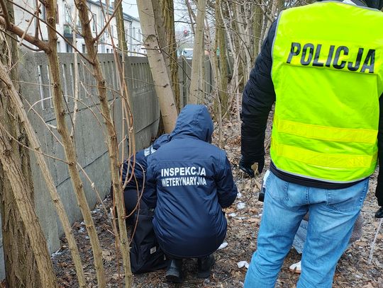 Koszmar za zamkniętymi drzwiami. Kobieta była uwięziona i gwałcona