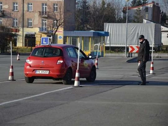 Która szkoła jazdy najlepsza? Nowy ranking kaliskich OSK