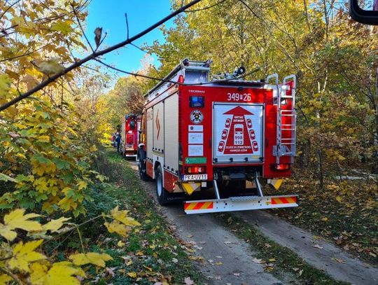 Ktoś podrzuca chemikalia! Tym razem tajemnicze pojemniki znaleziono w Warszówce