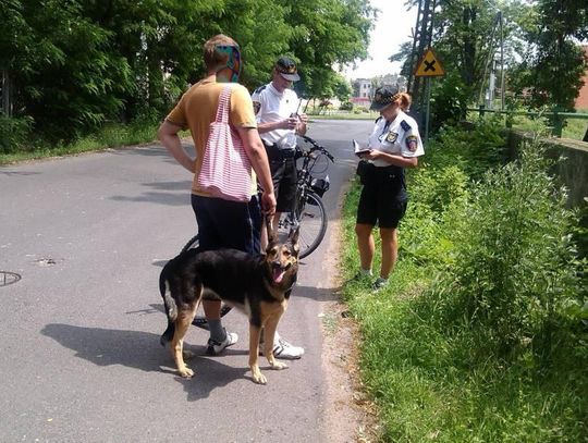 „Kupa na trawniku - mandat w portfeliku”. Straż miejska podsumowała akcję WIDEO