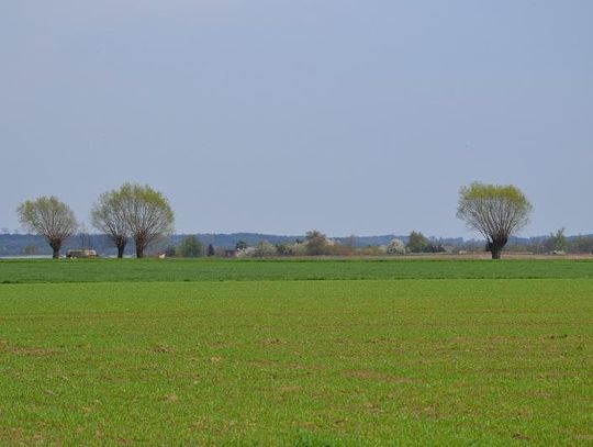 Łączą działki w powiecie kaliskim