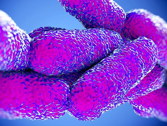 Legionella blisko Kalisza! Zachorowało małżeństwo