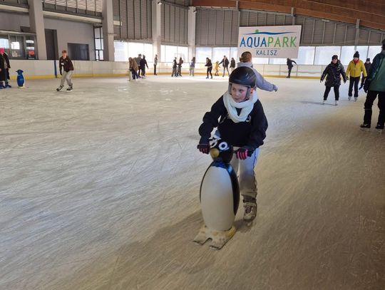 Lodowisko po nowemu. Będą zmiany na tej hali