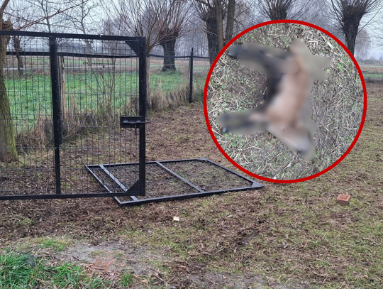 Ludzka zawiść? Brutalny najazd na "oazę spokoju" APEL Ludzka zawiść? Brutalny najazd na "oazę spokoju" APEL