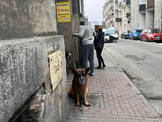 Makabra na Ciasnej. W mieszkaniu zmarła kobieta, pies miał odgryźć jej rękę! ZDJĘCIA