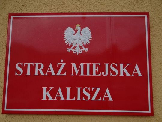 Mandaty od straży miejskiej – za co karze najczęściej?