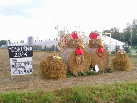 Maraton dożynkowy zaczyna się właśnie dziś! HARMONOGRAM IMPREZ