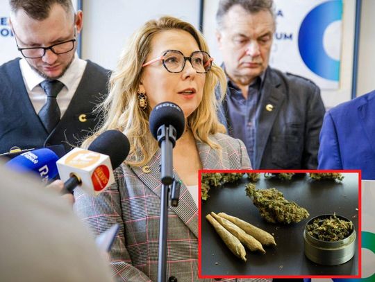 Marihuana bez kary? Barbara Oliwiecka o nowych projektach