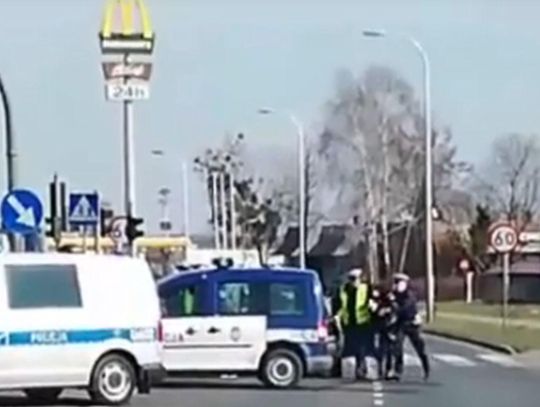 Marihuana w słoikach. Policja ujawnia kulisy spektakularnego zatrzymania w Ostrowie Wielkopolskim WIDEO