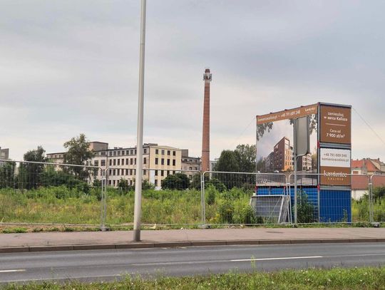 Miała być budowa, nadal rosną krzaki. Co dalej z tą inwestycją?