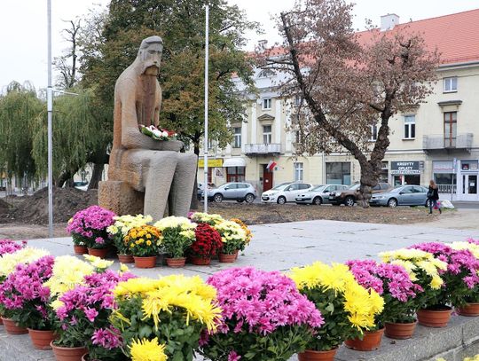 Miasto otrzymało chryzantemy od lokalnego ogrodnika. Kwiaty ozdobią miejsca pamięci ZDJĘCIA