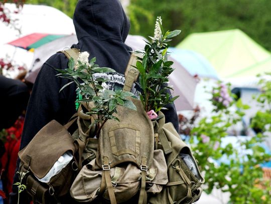 Miłośnicy ogrodów zadowoleni. Dziś drugi dzień targów ogrodniczych ZDJĘCIA