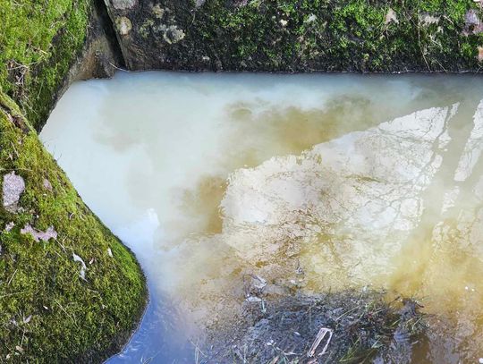 Mleczna substancja na Prośnie. W akcji grupa chemiczna