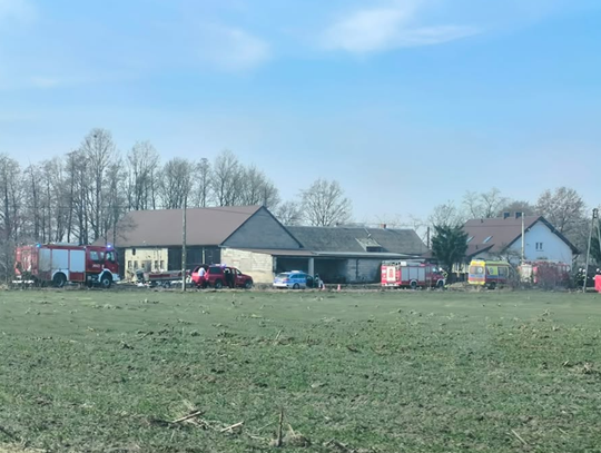 Motocyklista wypadł z drogi. Mężczyzna zginął na miejscu Motocyklista wypadł z drogi. Mężczyzna zginął na miejscu