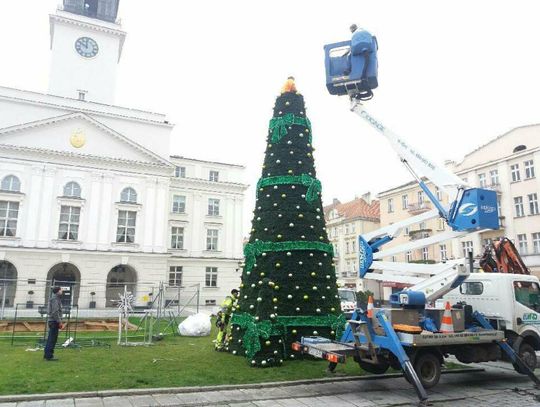 Na Głównym Rynku stanęła miejska choinka ZDJĘCIA