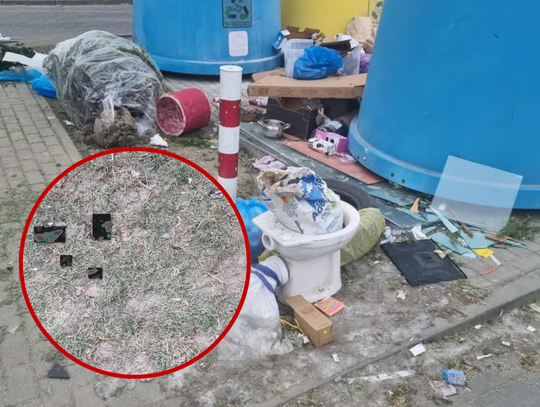 „Na wymioty się zbiera”. Nasz czytelnik pokazuje osiedlowy „porządek” ZDJĘCIA