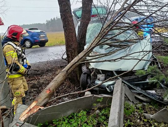 Z impetem uderzył w drzewo. Auto kompletnie rozbite