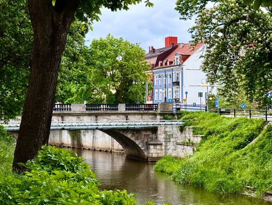 Najnowsza GIEŁDA PRACY. Kogo szukają firmy? KALISZ I OKOLICE
