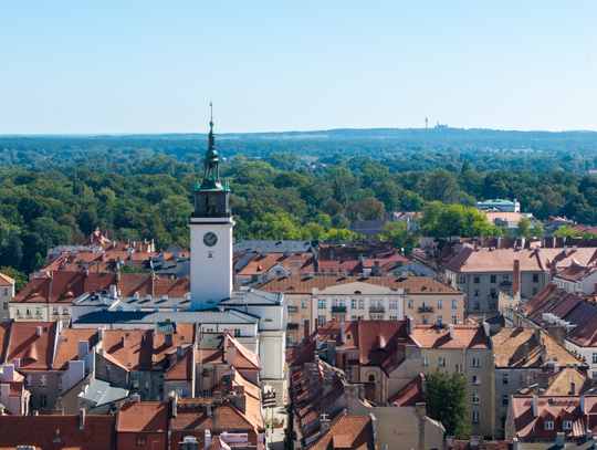 Najnowsza GIEŁDA PRACY. Kogo szukają firmy? KALISZ I OKOLICE