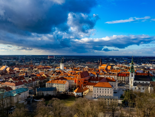 Najnowsza GIEŁDA PRACY. Kogo szukają firmy? KALISZ I OKOLICE