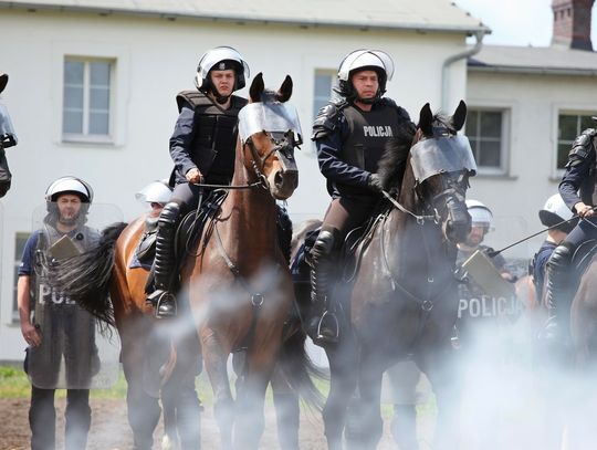 Nie boi się tłumu i huku. Skuteczniejszy niż 20 pieszych policjantów!