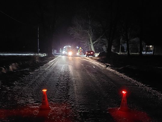 „Nie dostosował prędkości…”. Renault uderzyło w drzewo