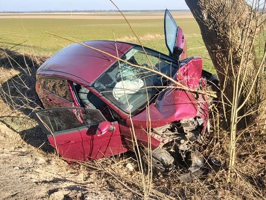 Nie kierował, ale spowodował wypadek. Sprawcą zdarzenia był pies